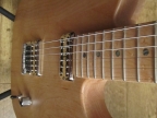 La Cabronita - Final build, neck shot