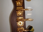 warmoth-bass-guitar-gold-2